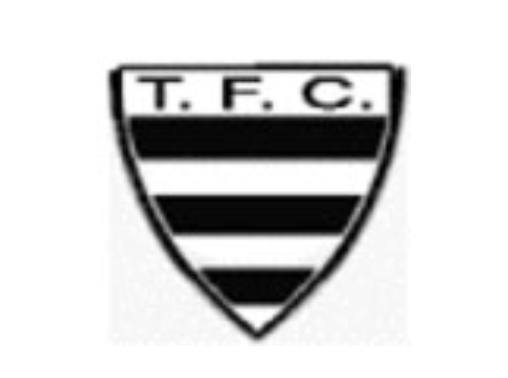 Tamoio Futebol Clube
