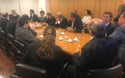 Entidades se reúnem com Ministro do Governo Federal para reverter danos da MP 841/18