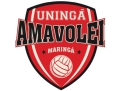 Associação Maringaense de Voleibol - Amavolei